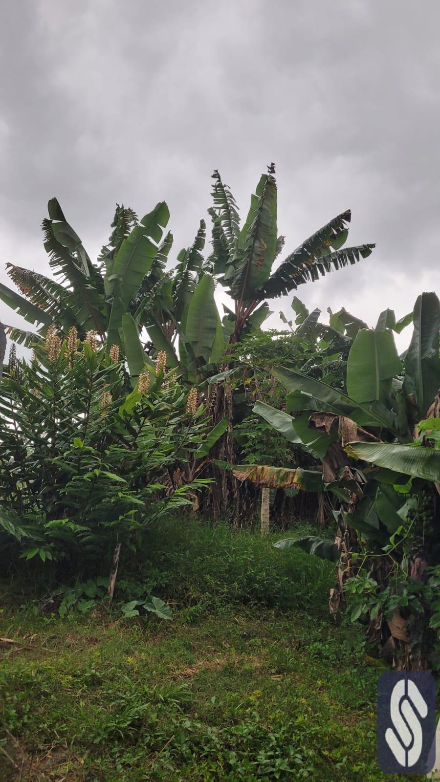 TERRENO Á VENDA EM MOGI DAS CRUZES