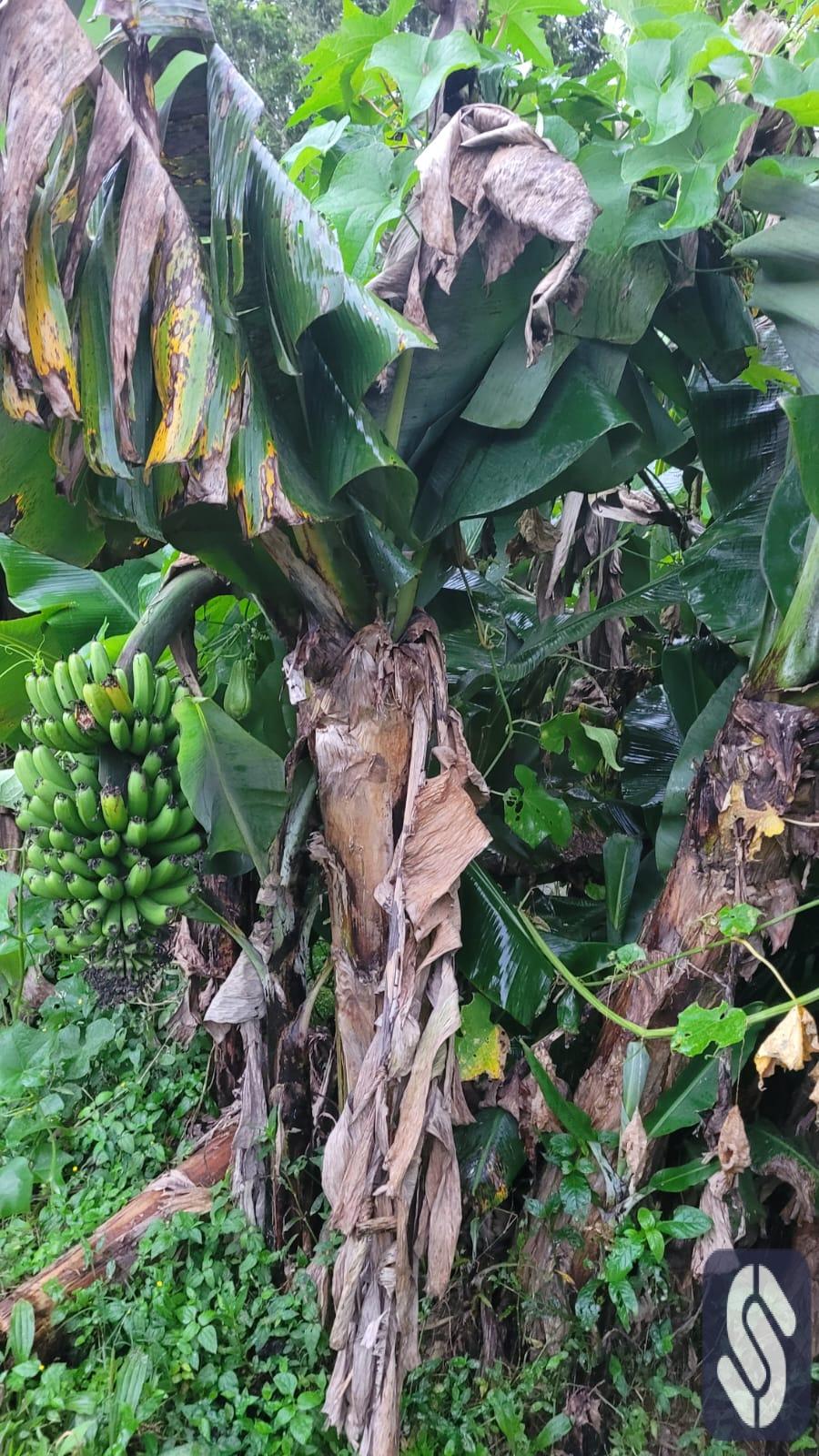 TERRENO Á VENDA EM MOGI DAS CRUZES