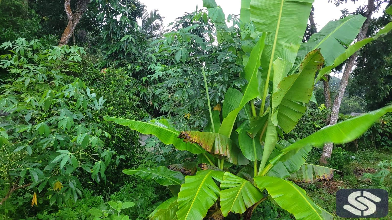 TERRENO Á VENDA EM MOGI DAS CRUZES