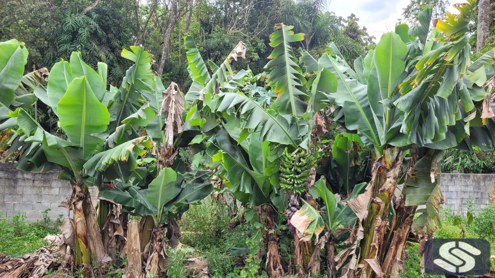 TERRENO Á VENDA EM MOGI DAS CRUZES