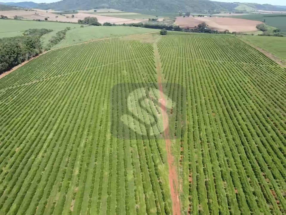 Fazenda Município Carmo do Rio Claro - MG