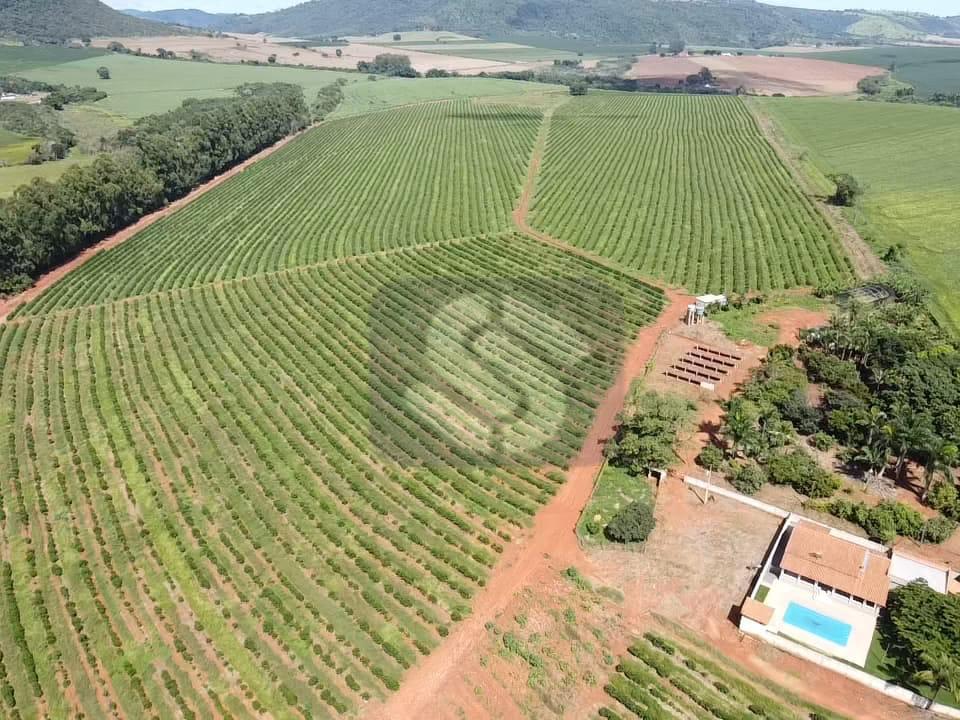 Fazenda Município Carmo do Rio Claro - MG