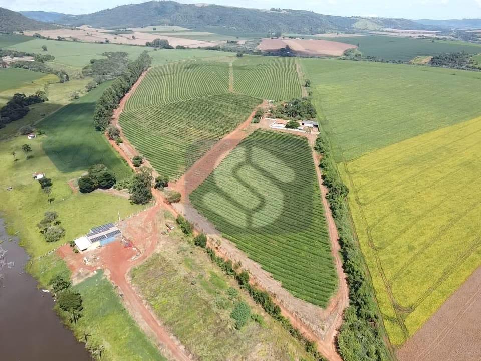 Fazenda Município Carmo do Rio Claro - MG