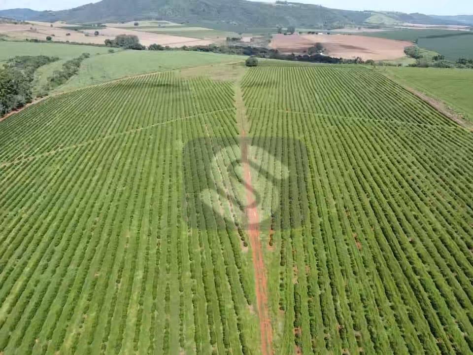 Fazenda Município Carmo do Rio Claro - MG