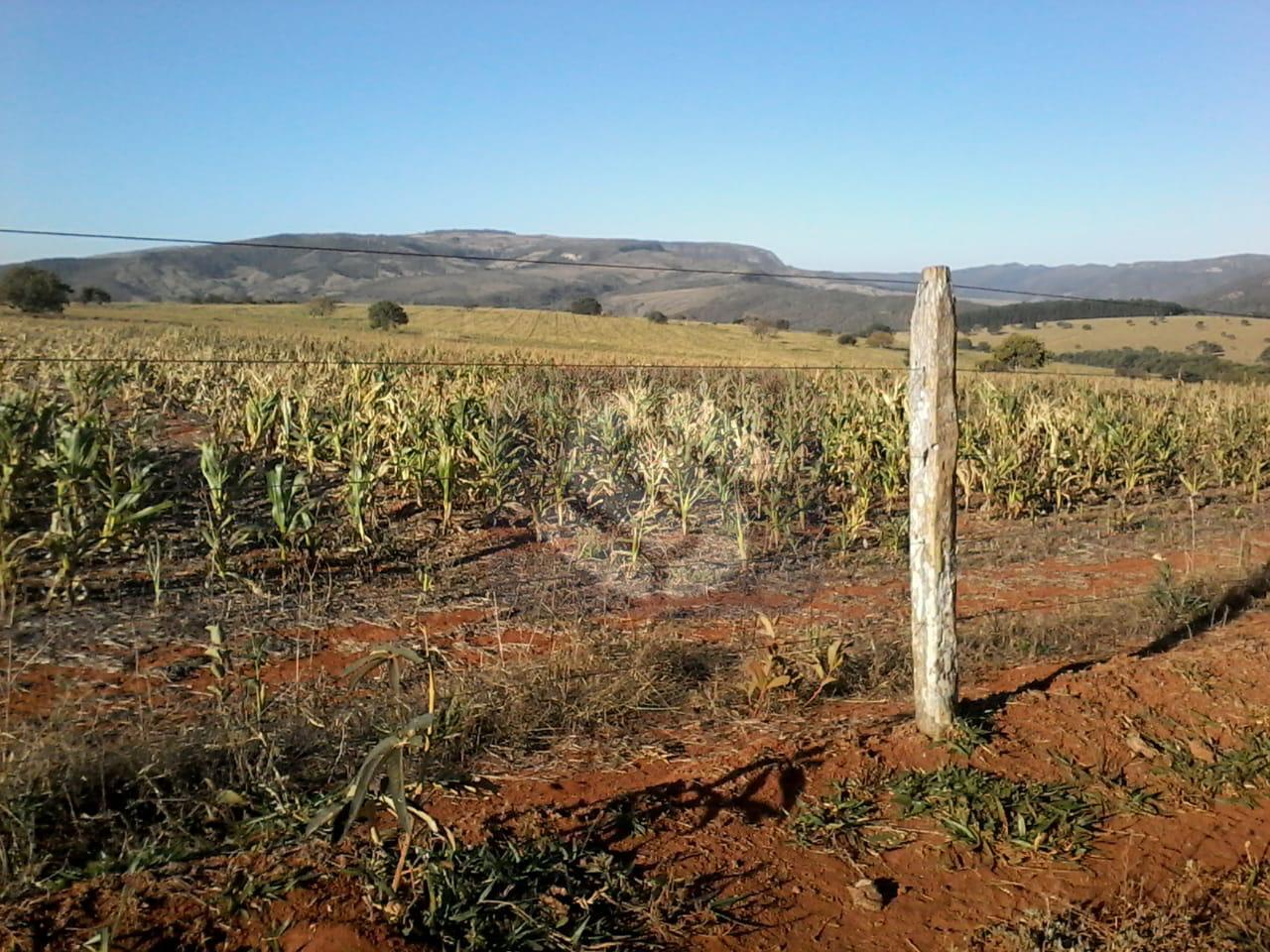 Fazenda á venda em Capitólio MG.