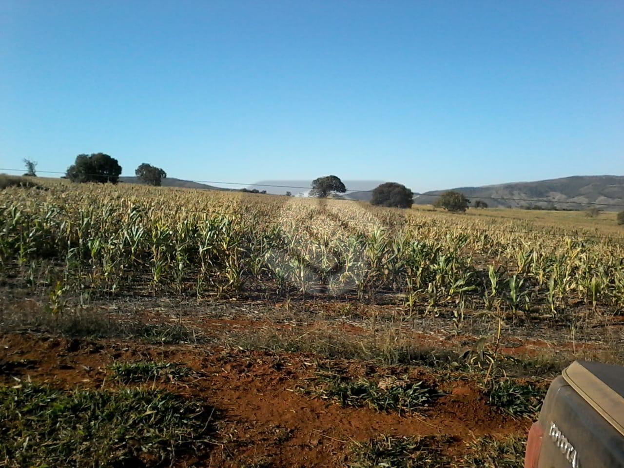 Fazenda á venda em Capitólio MG.