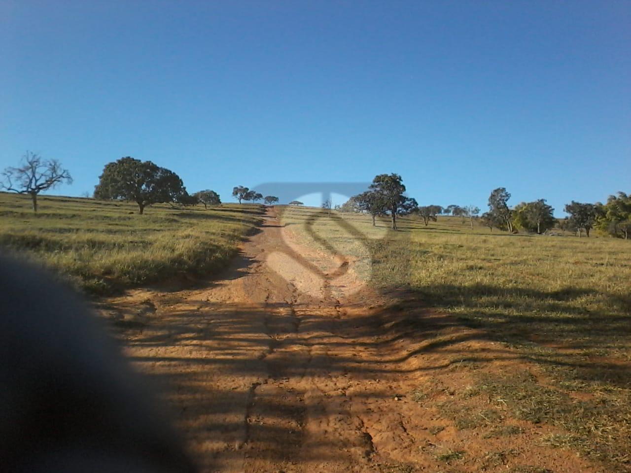 Fazenda á venda em Capitólio MG.