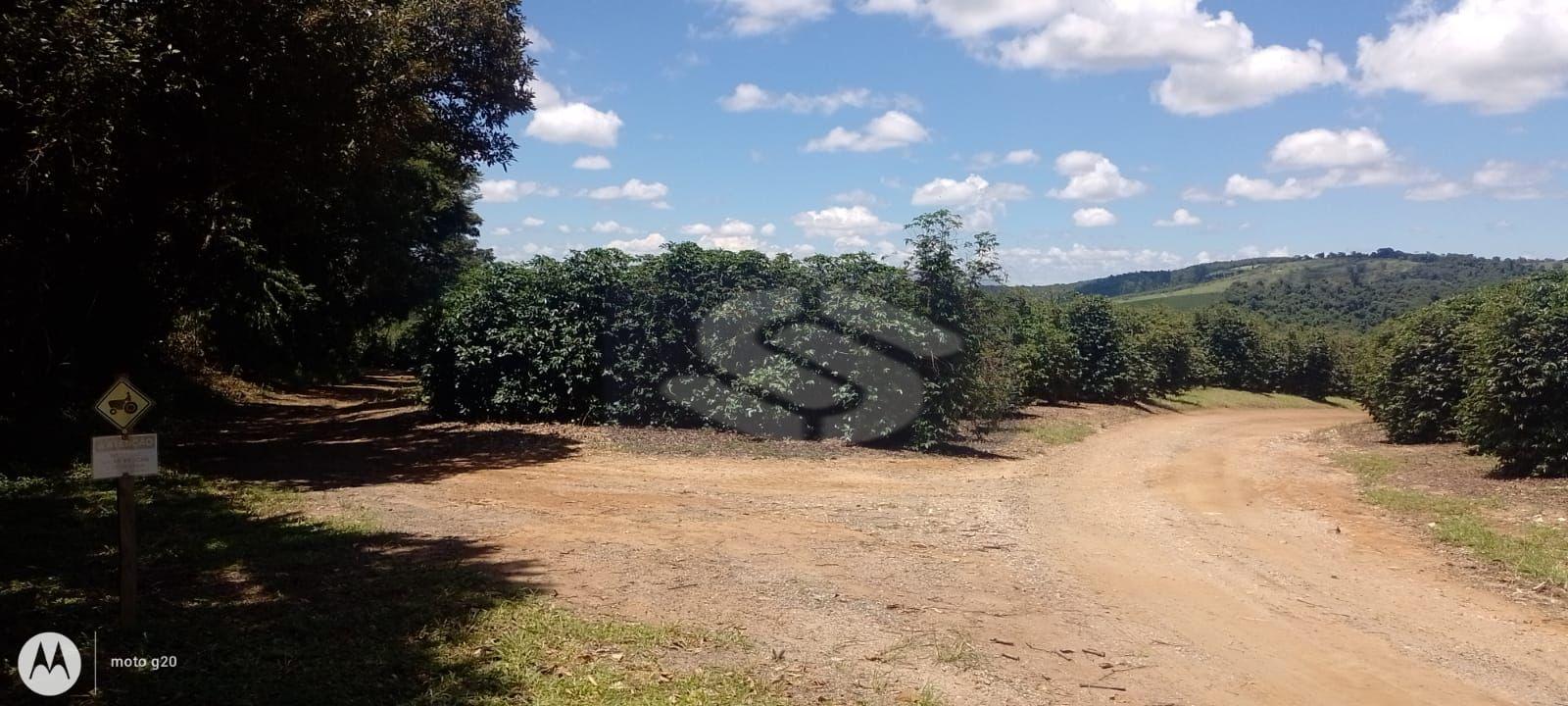 Fazenda Sul de Minas - 150 km de Varginha