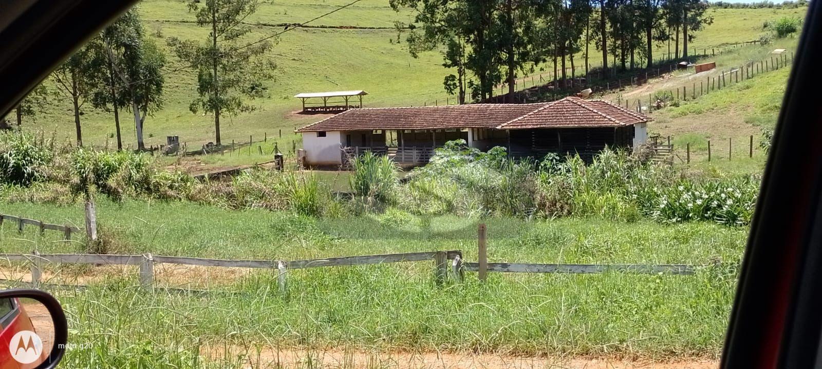 Fazenda Sul de Minas - 150 km de Varginha