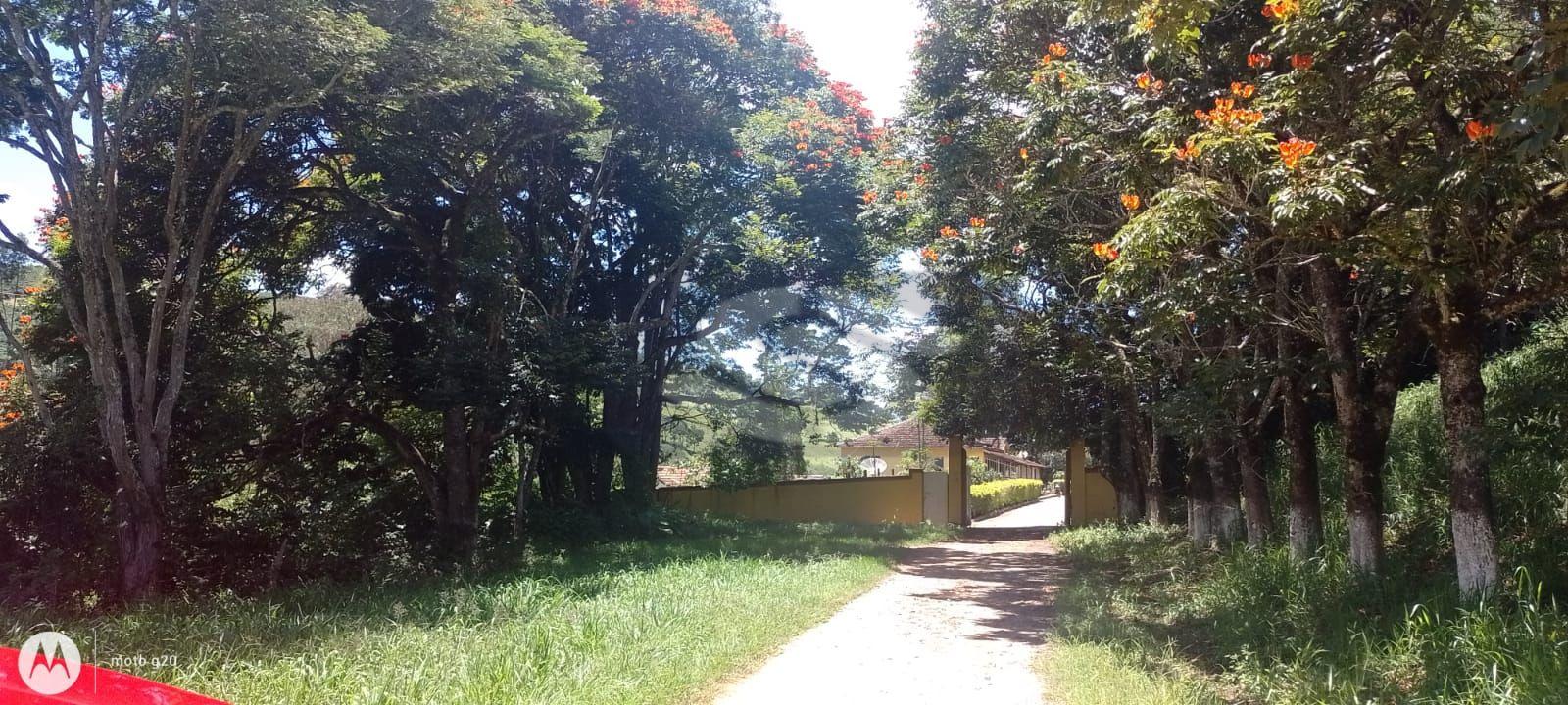 Fazenda Sul de Minas - 150 km de Varginha