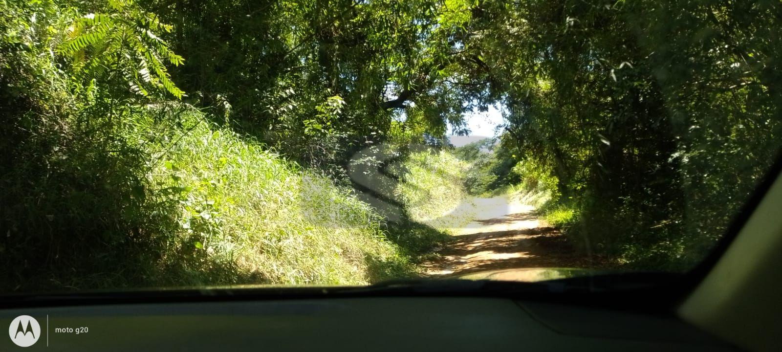 Fazenda Sul de Minas - 150 km de Varginha