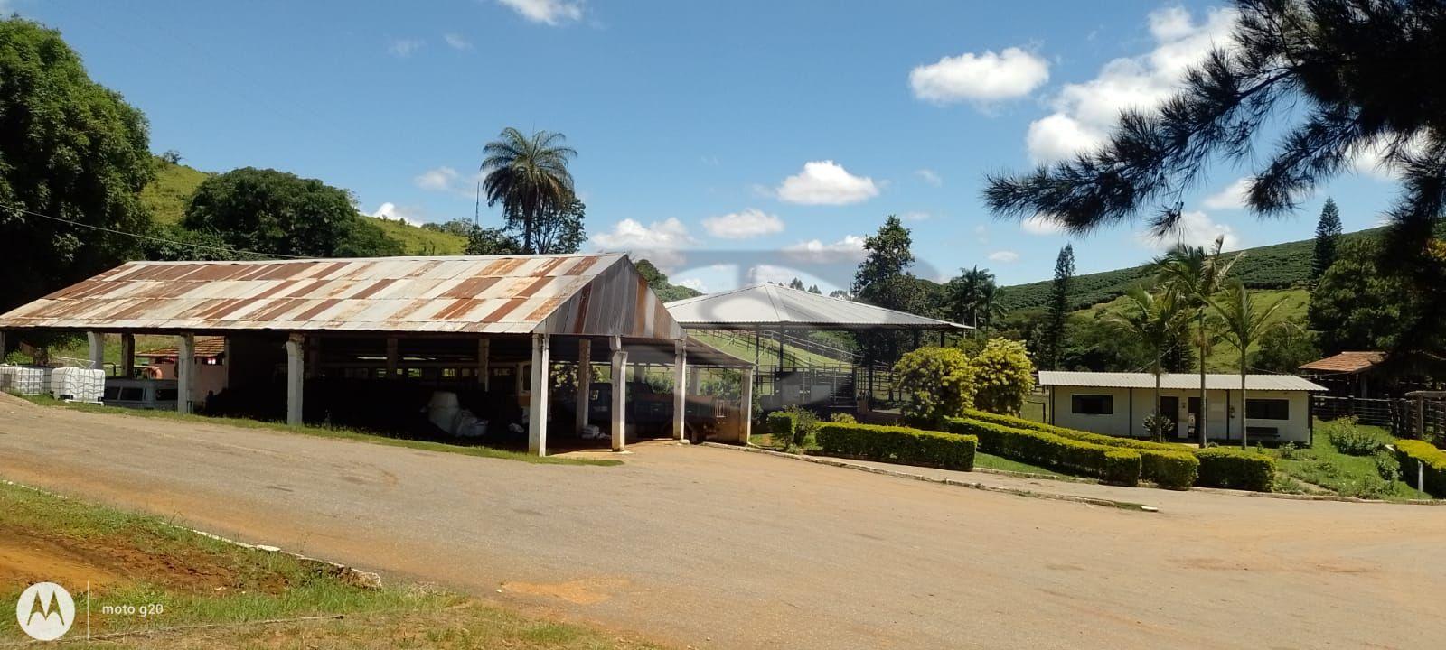 Fazenda Sul de Minas - 150 km de Varginha