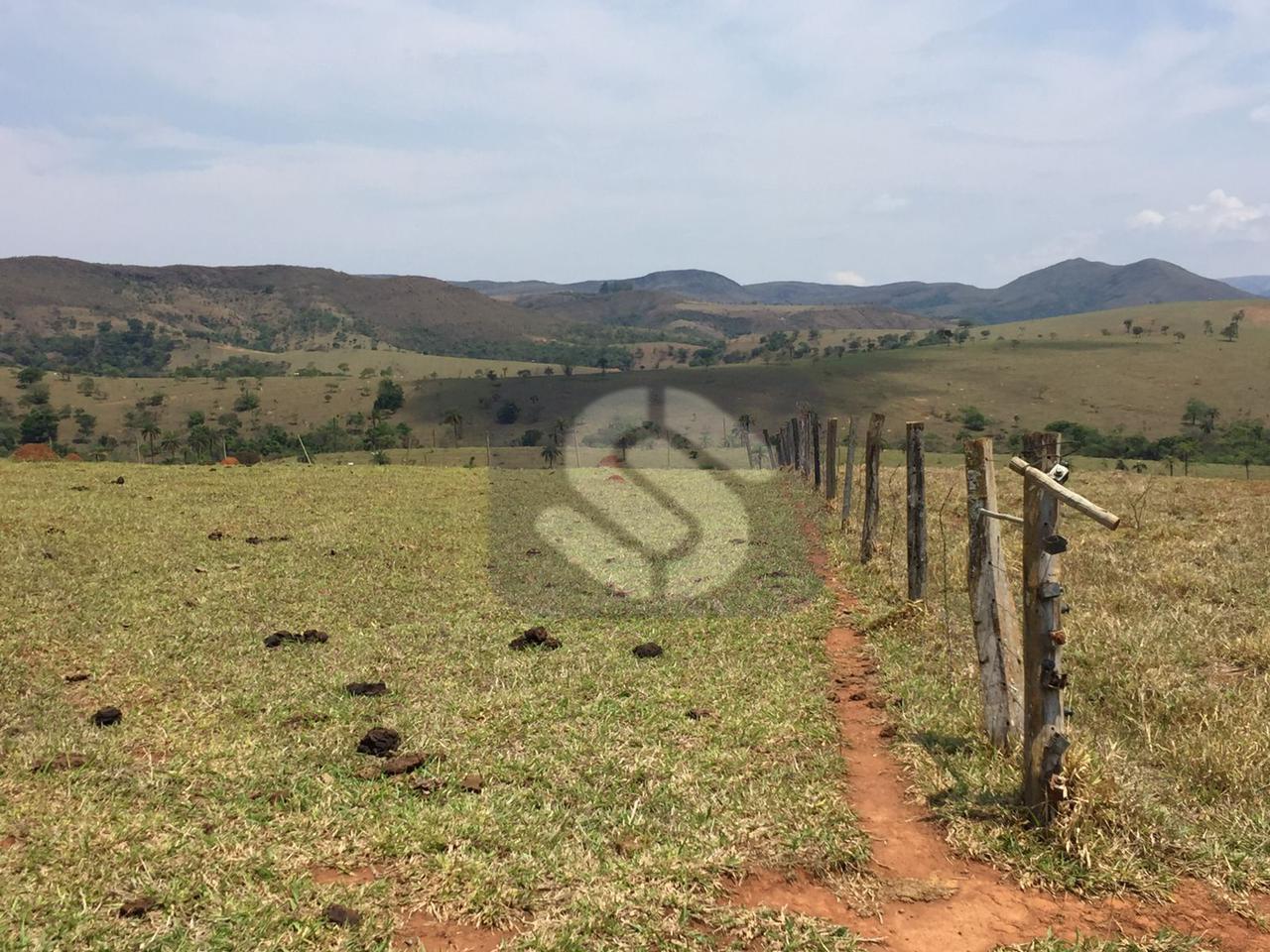 Fazenda Confusão - MG