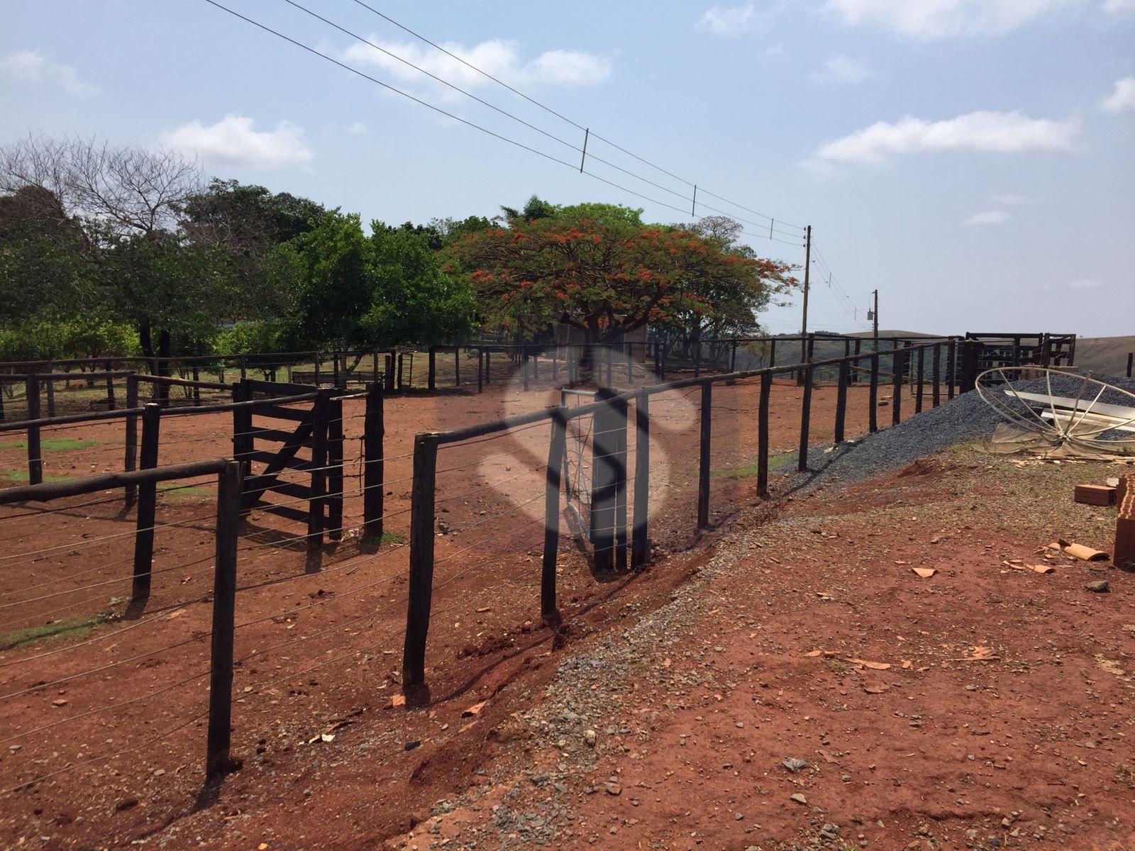 Fazenda Confusão - MG