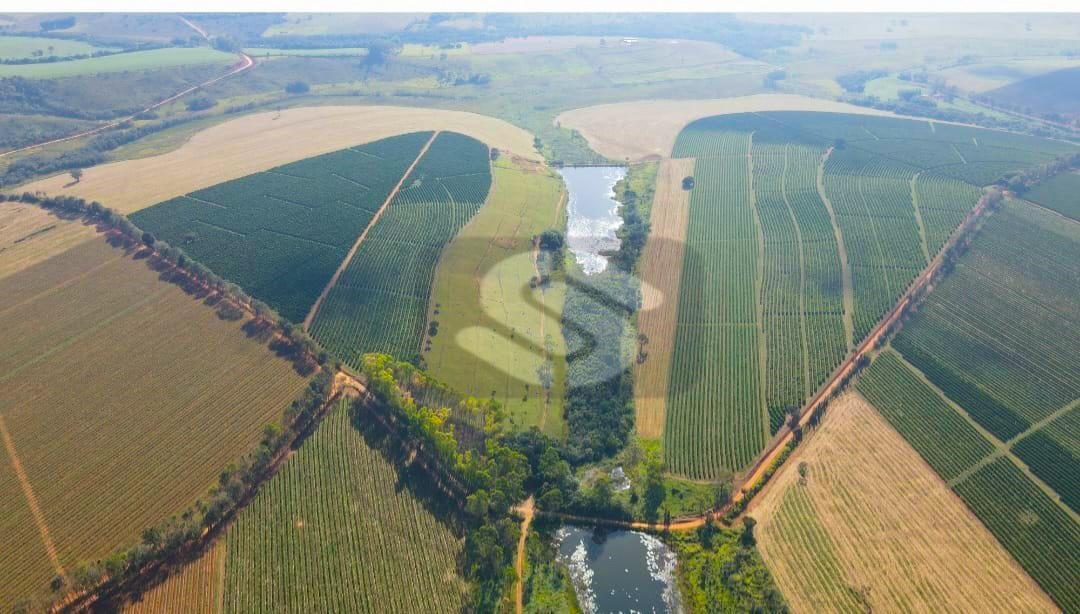 Fazenda Almeidas - MG