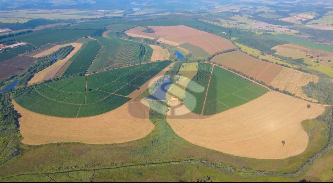 Fazenda Almeidas - MG