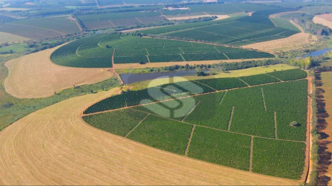 Fazenda Almeidas - MG