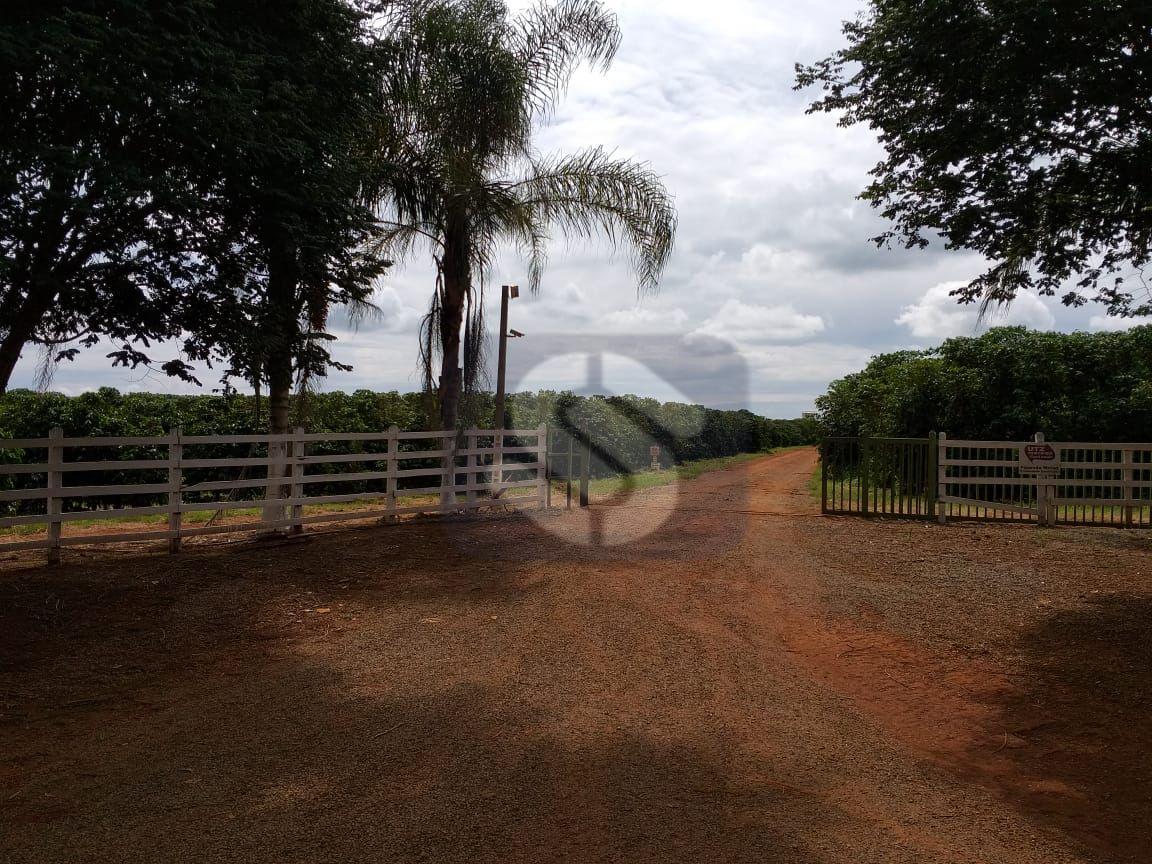 Fazenda Piumhi - MG