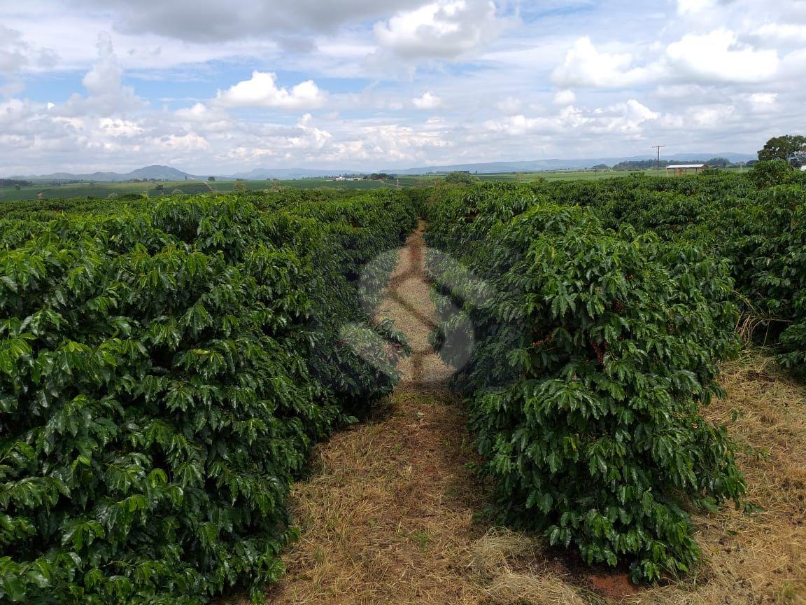 Fazenda Piumhi - MG