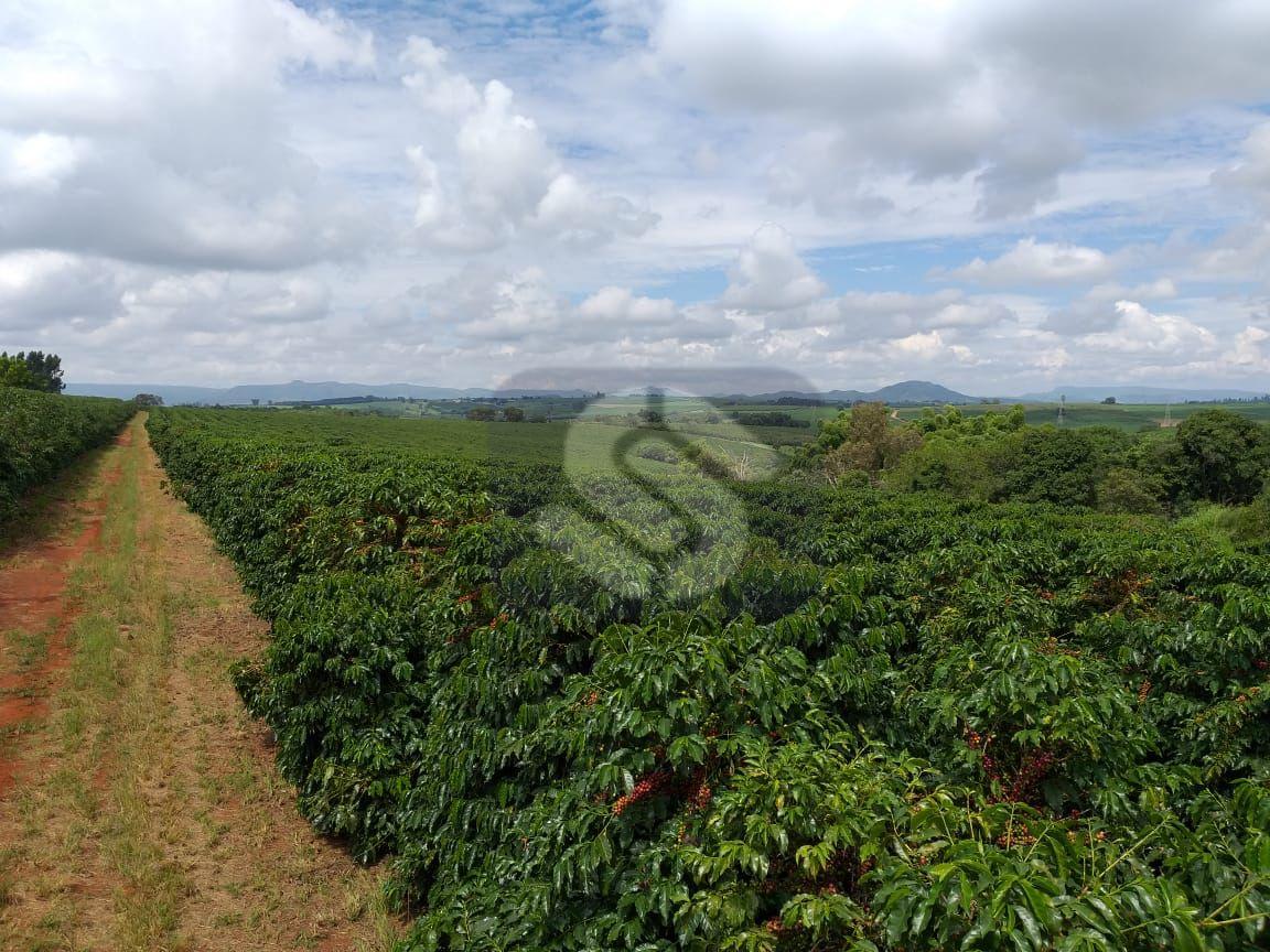 Fazenda Piumhi - MG