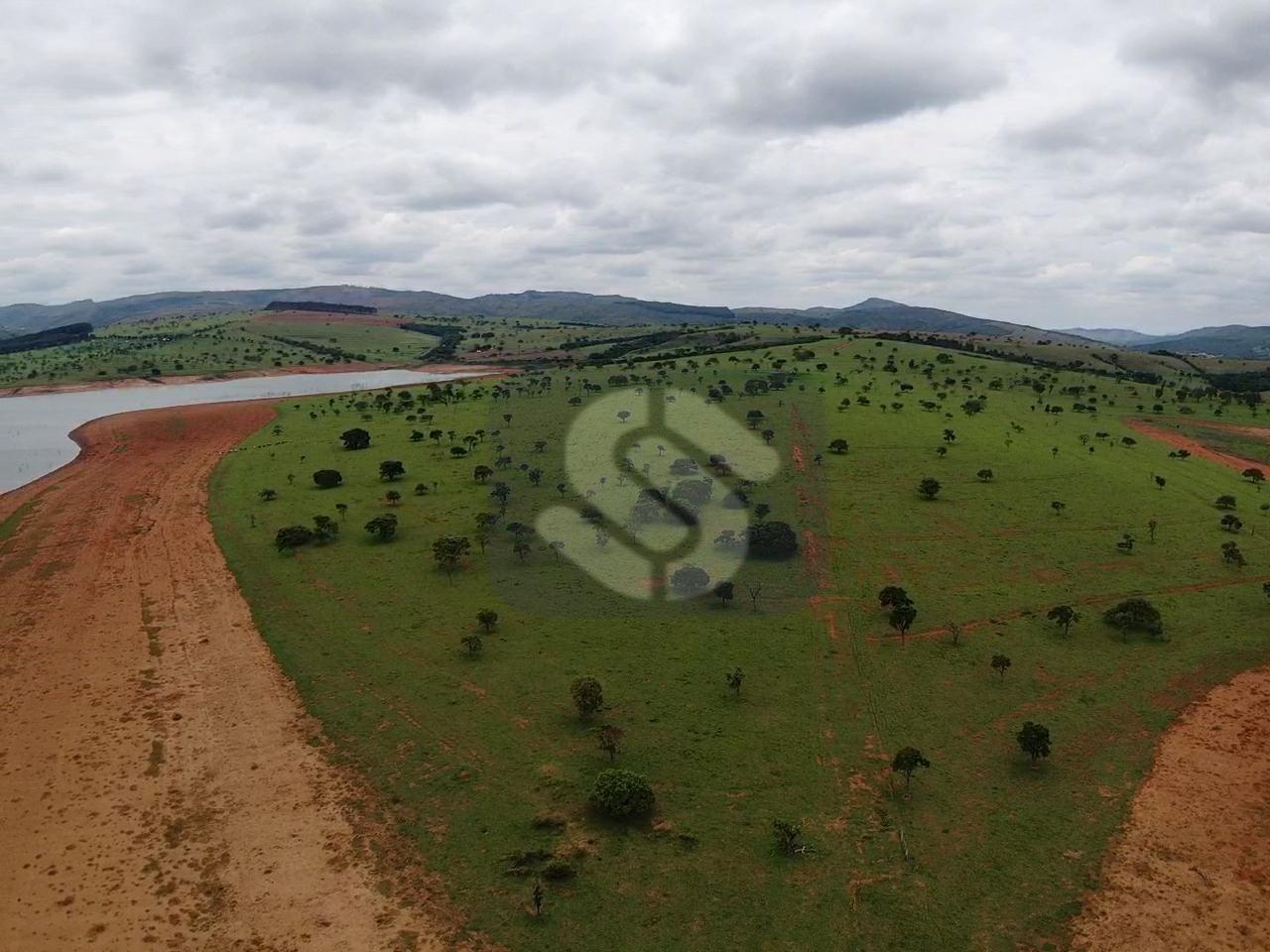 Fazenda Rio Grande - Capitólio - MG