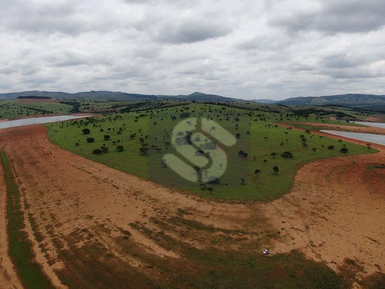 Fazenda Rio Grande - Capitólio - MG