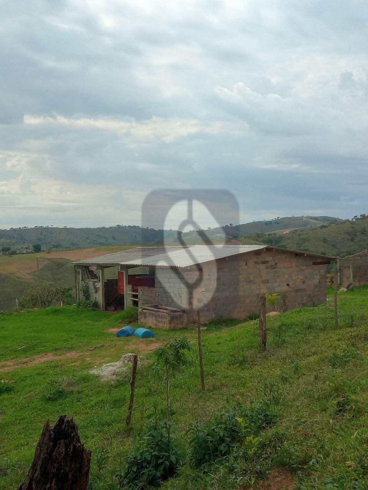 Fazenda Guiné - São Roque de Minas - MG