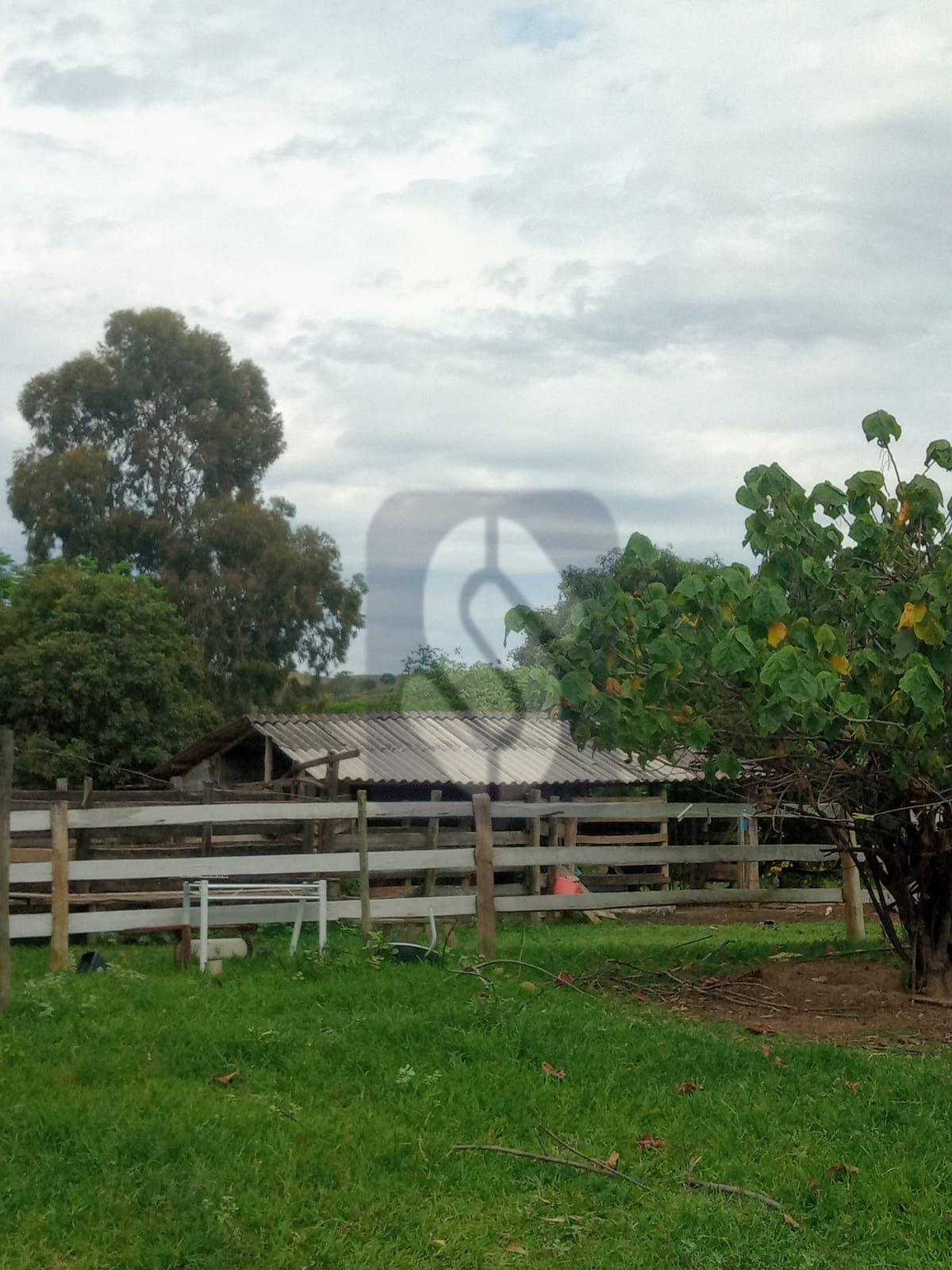 Fazenda Guiné - São Roque de Minas - MG