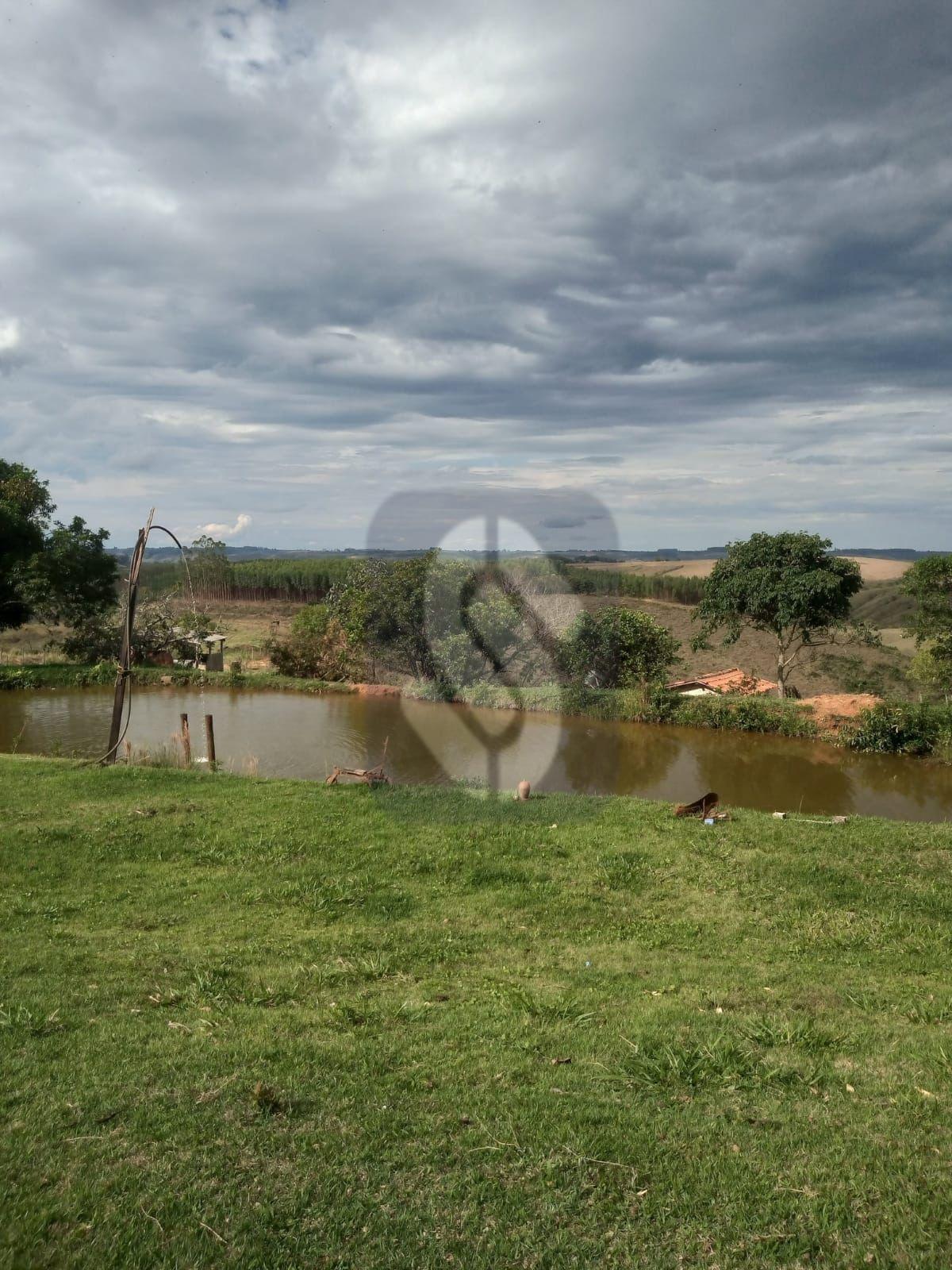 Fazenda Guiné - São Roque de Minas - MG