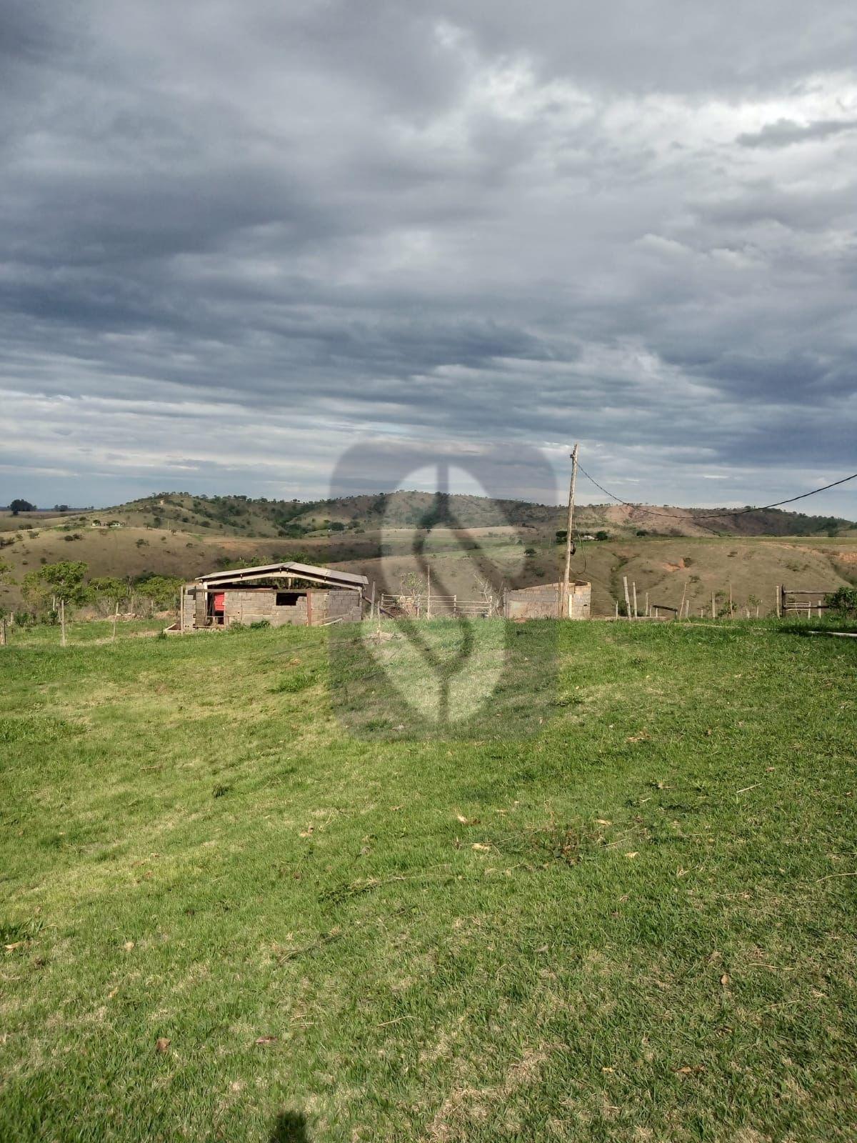 Fazenda Guiné - São Roque de Minas - MG