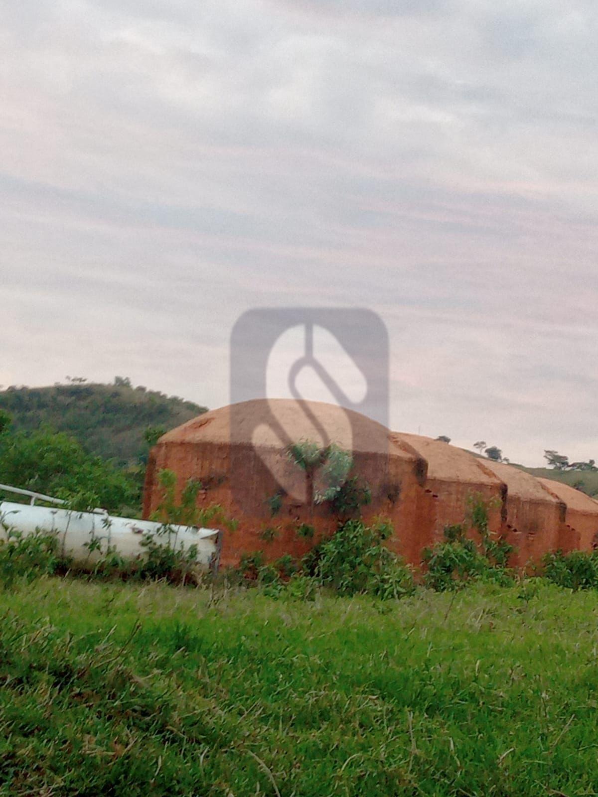 Fazenda Guiné - São Roque de Minas - MG